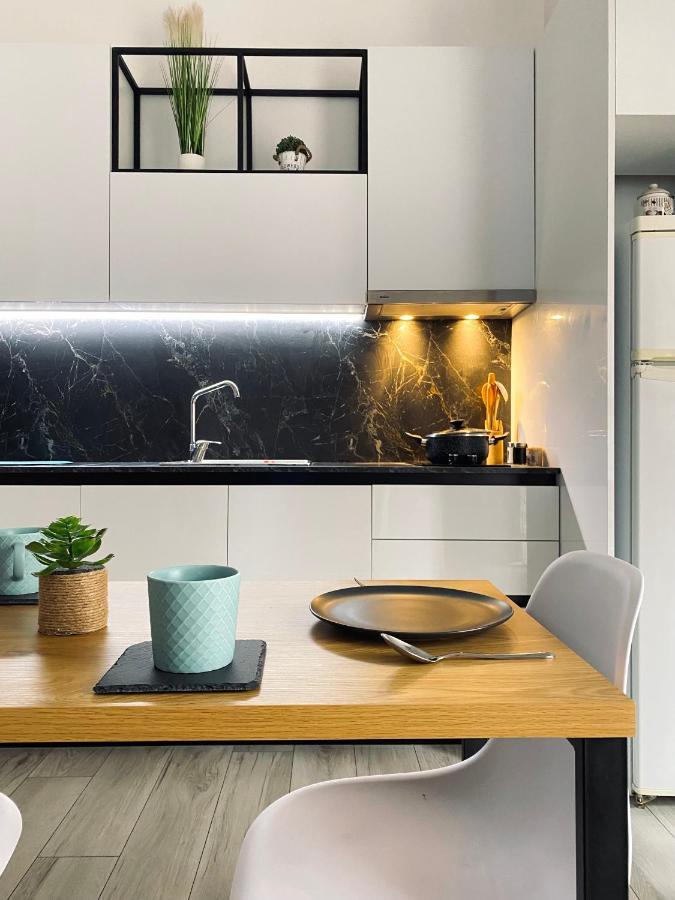 Newly Renovated One Bedroom Apartment In 地拉那 外观 照片